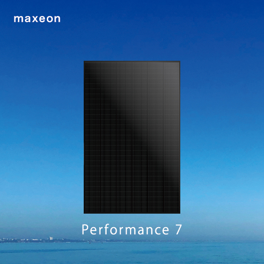 マキシオン Performance 7
