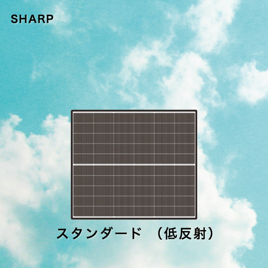 シャープ スタンダード（低反射）